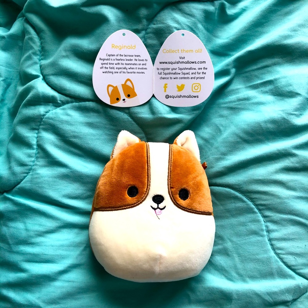 Reginald - Small Squishmallow